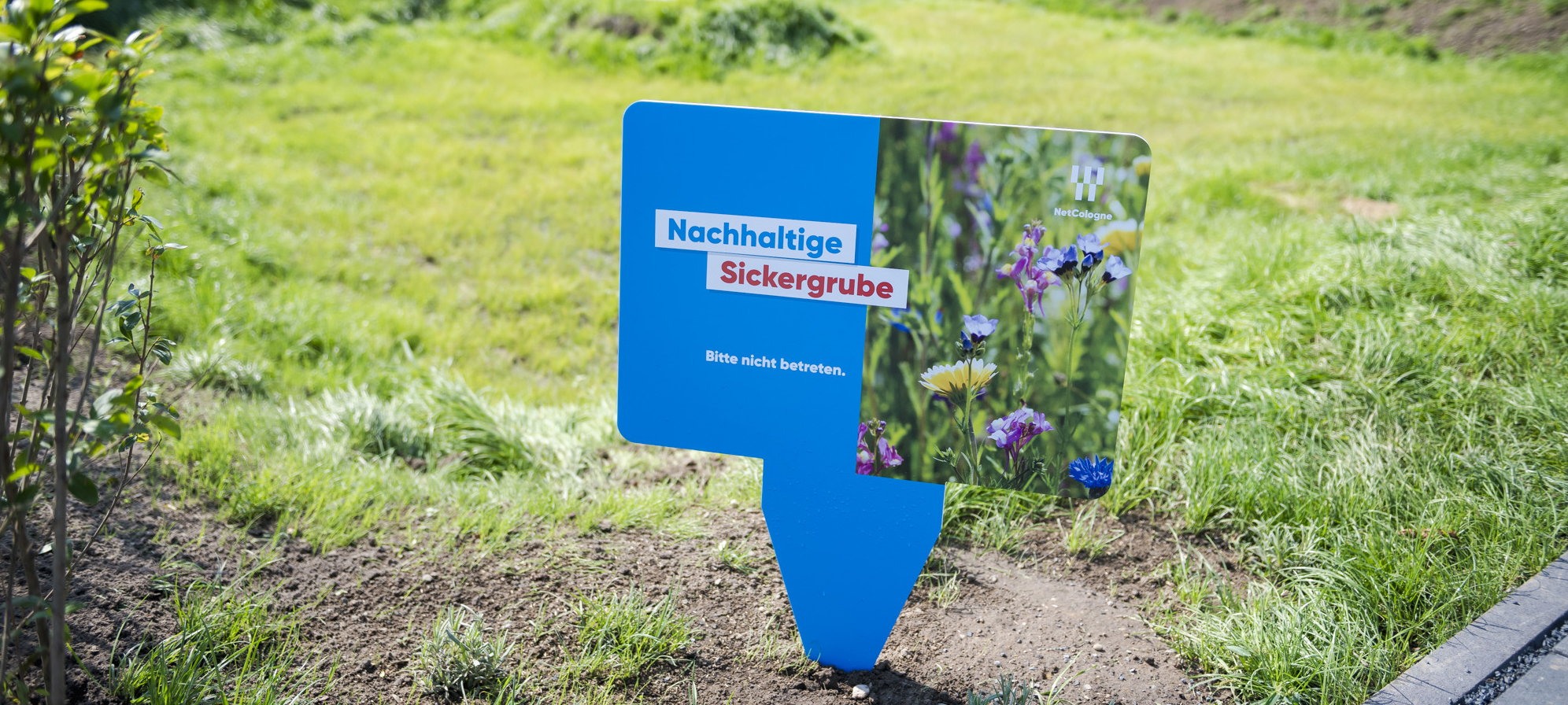 Rechenzentrum_Bildergalerie_Nachhaltiges_DC_Sickergrube | NetCologne ITS Rasenfläche mit Schild: Nachhaltige Sickergrube. Bitte nicht betreten.